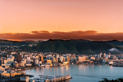 Wellington cityscape